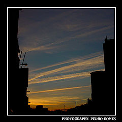 фото "***"