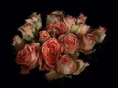 photo "***"