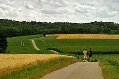 photo "A walk"