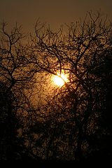фото "warm sun"