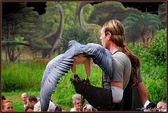 photo "wild bird demonstration"