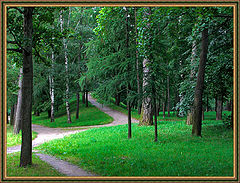 фото "прогулка в лето"