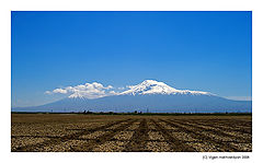 photo "Blue Ararat"