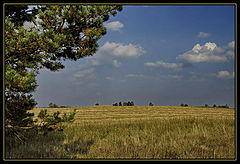 photo "***"