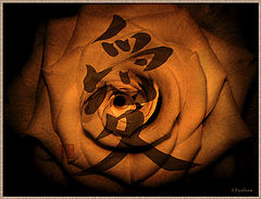 photo "***"