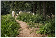 photo "Road to wood"