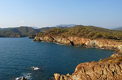 album "Turkey 2008"
