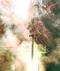 photo "***"