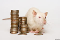 photo "Savings"
