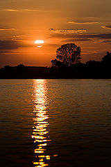 photo "Tired Danube"