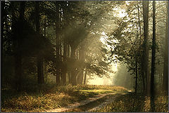 photo "* * *"
