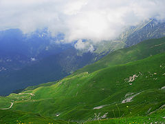 photo "***"