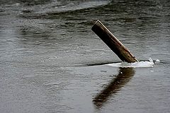 фото "the pole"