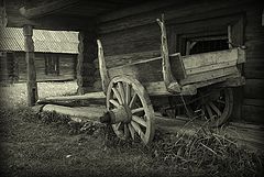 photo "***"