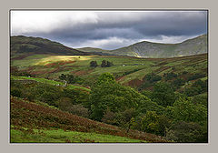 photo "From brown to green"