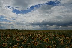 photo "Under the Clouds"