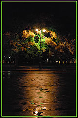 photo "***"