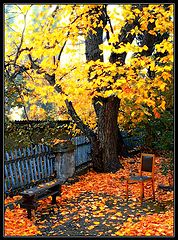 фото "Old_yard. Sebastopol"