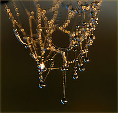 photo "***"