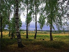 фото "Осенний этюд"