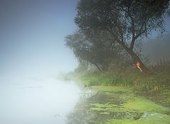 photo "***"