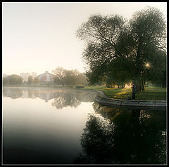 фото "в утреннем тумане"