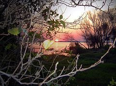 фото "sunset"