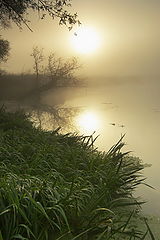 photo "***"