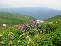 photo "The soul country"