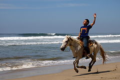 photo "FREEDOM"