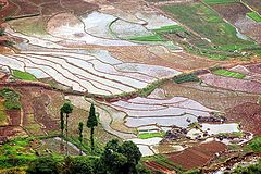фото "Terraced fields"