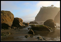 photo "Yellow Fog"