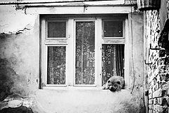 фото "не мы такие, жизнь такая"