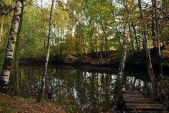photo "***"
