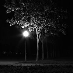 фото "-"