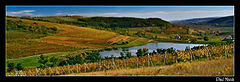 photo "Moldova - Stolnicen"