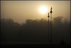 фото "Foggy morning"