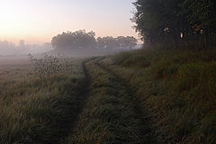 photo "***"