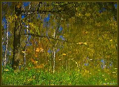 фото "***"