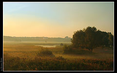 фото "Утро"