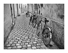 photo "Lunch break"