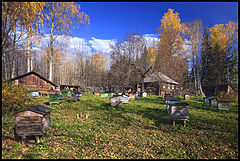 фото "Осенняя пасека"