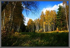 photo "The Moscow area, autumn-2"