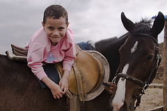 photo "hippotherapy session"