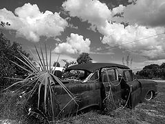 photo "Victory"