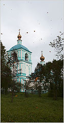 фото "Листопад"
