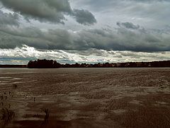 photo "Nord wind"
