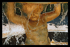 photo "Golden Boy"