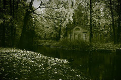 photo "***"