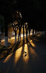 photo "***"
